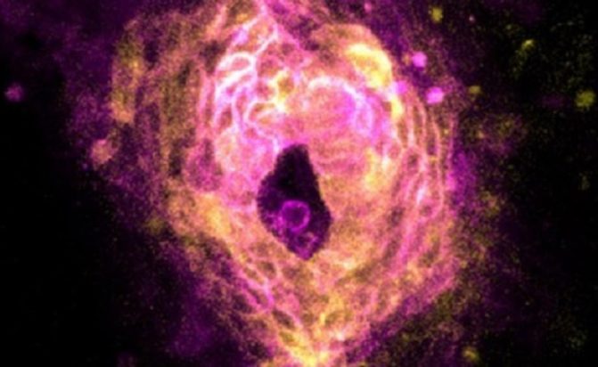 Οι επιστήμονες κατέγραψαν την στιγμή που η καρδιά αρχίζει να χτυπά (Βίντεο)