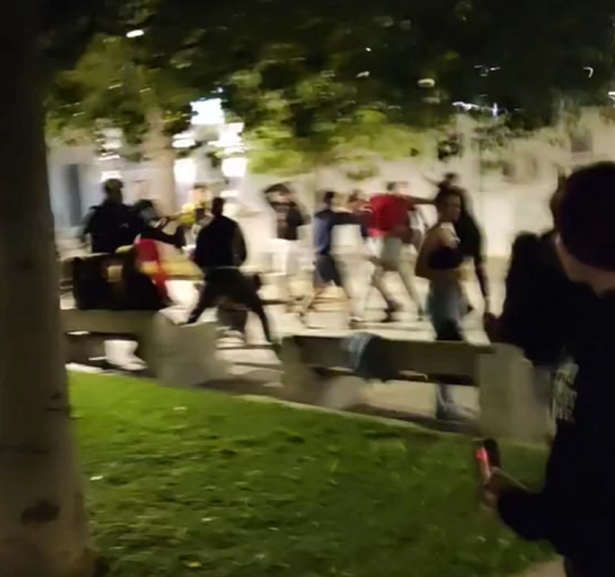 Σύνταγμα: ΒΙΝΤΕΟ από την άγρια συμπλοκή ανηλίκων – Γροθιές και χτυπήματα με κλαδιά δέντρων