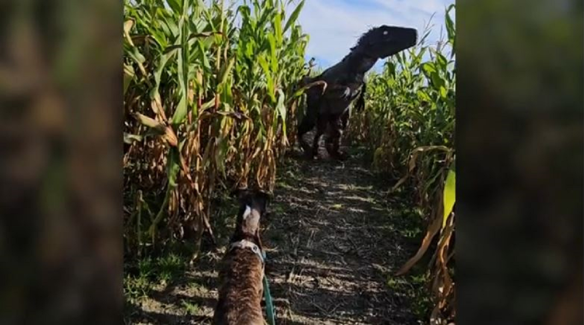 δεινόσαυρος σκύλος