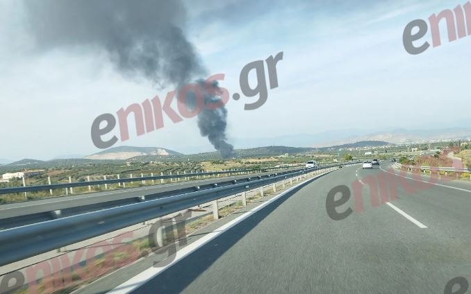 Φωτιά σε εργοστάσιο στην Εύβοια: Κάηκε ολοσχερώς μία πτέρυγα – Ενισχύονται οι δυνάμεις της Πυροσβεστικής – ΦΩΤΟ και ΒΙΝΤΕΟ