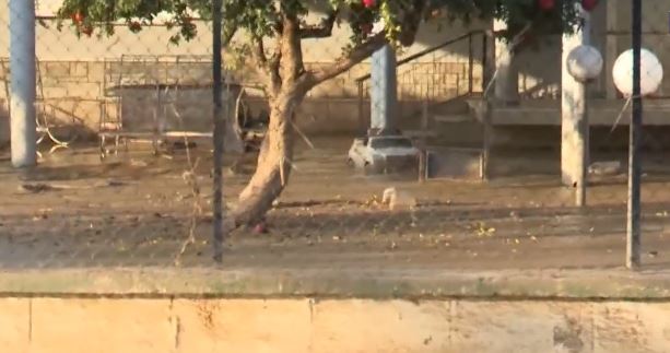 Αυτοδιοικητικές Εκλογές 2023: Μέσα στις λάσπες το εκλογικό κέντρο στο Σωτήριο Λάρισας – ΒΙΝΤΕΟ