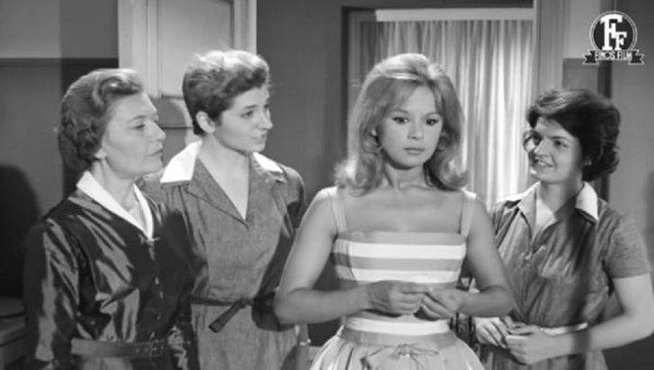 Παγκόσμια ημέρα Ζώων