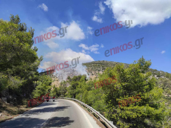 φωτιά Νέα Μάκρη