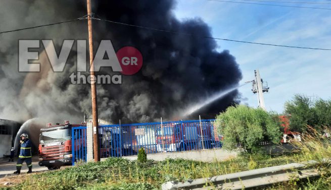 Εύβοια: Υπό έλεγχο η φωτιά στο εργοστάσιο