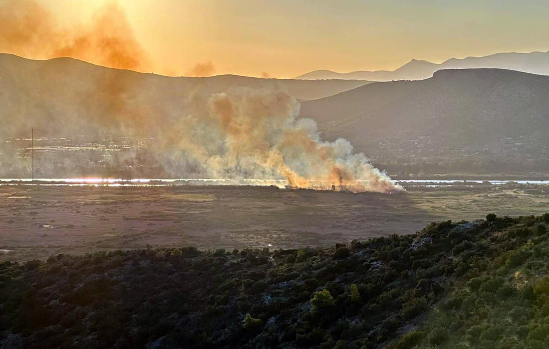 Φωτιά στον Σχοινιά, κοντά στο κωπηλατοδρόμιο