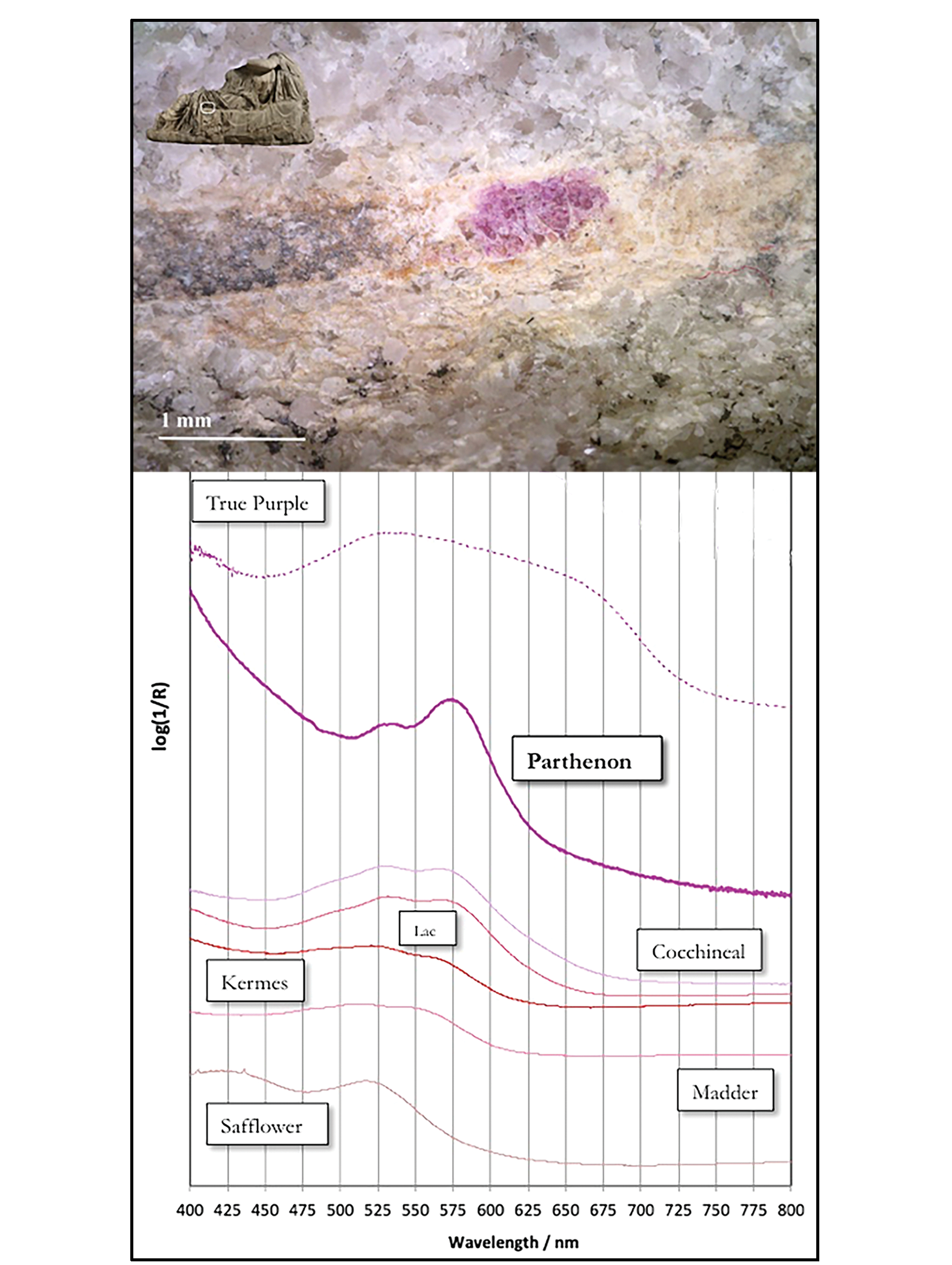 Γλυπτά του Παρθενώνα έρευνα