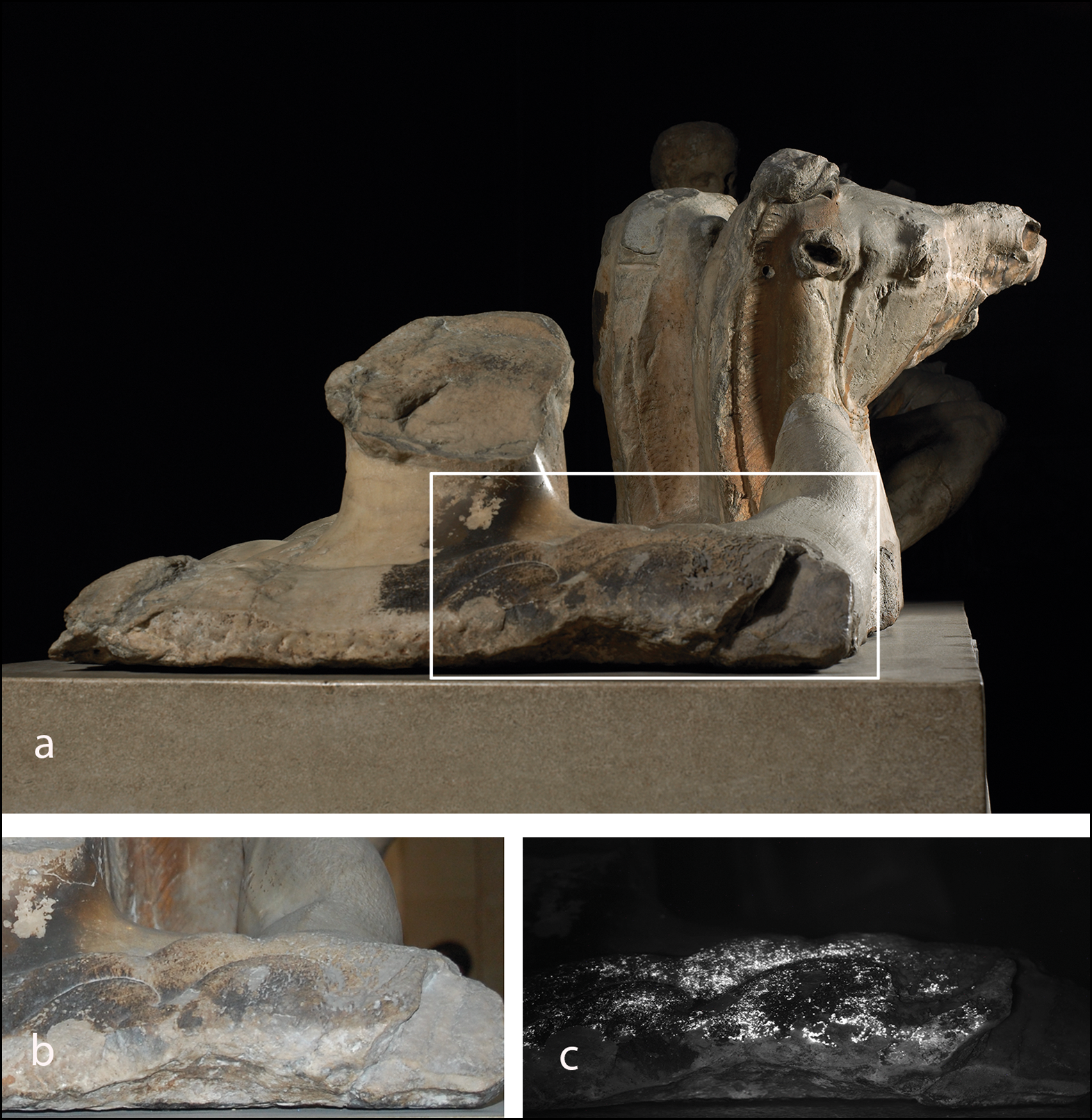 Γλυπτά του Παρθενώνα έρευνα