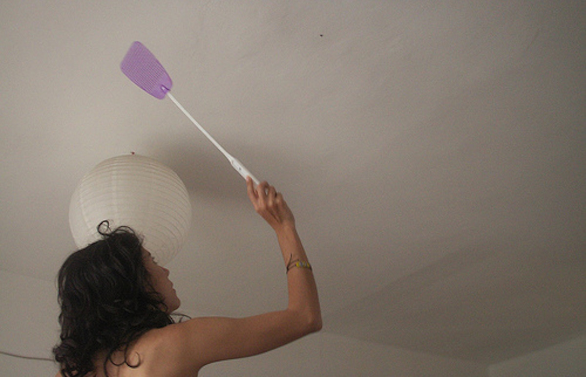 Πώς να απαλλαγείτε με φυσικό τρόπο από τα ενοχλητικά μυγάκια στο σπίτι