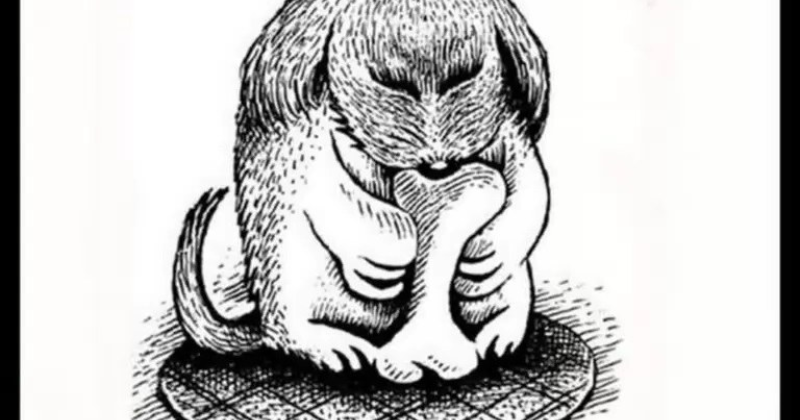 οπτική ψευδαίσθηση