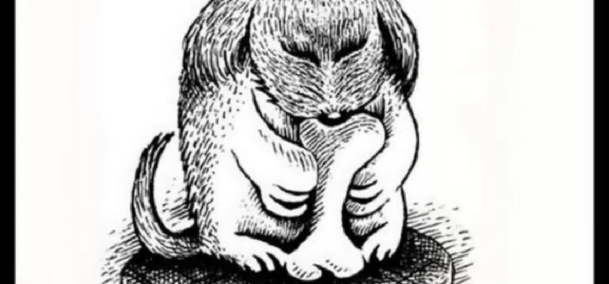 οπτική ψευδαίσθηση