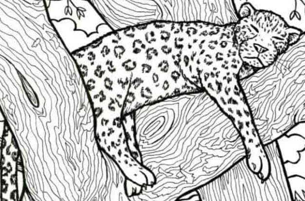 Οπτική ψευδαίσθηση ψάρι