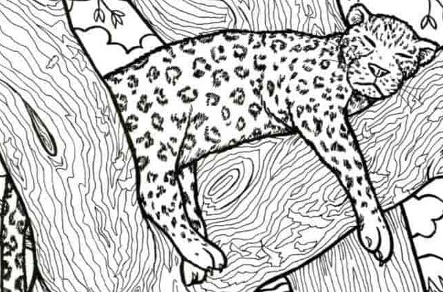 Οπτική ψευδαίσθηση ψάρι