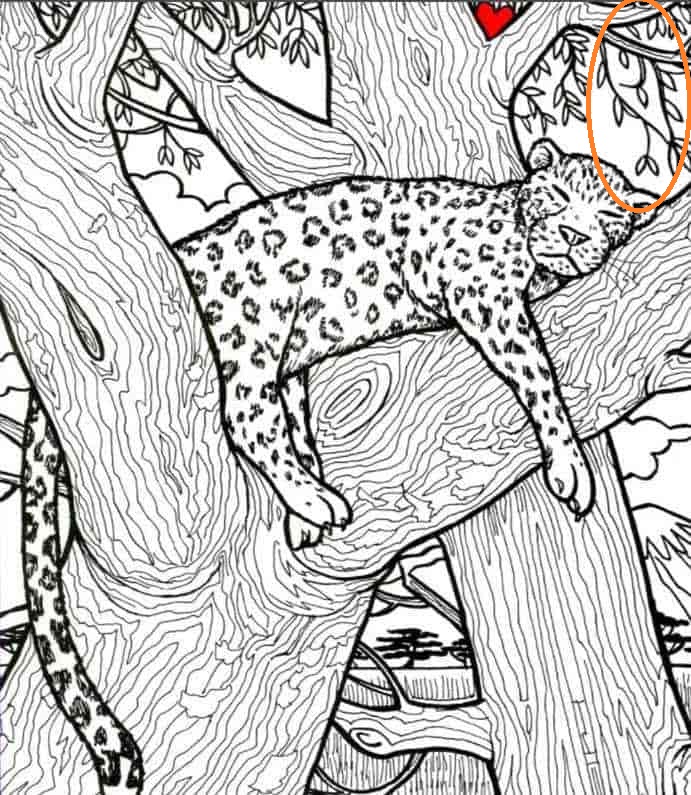 Οπτική ψευδαίσθηση ψάρι λύση