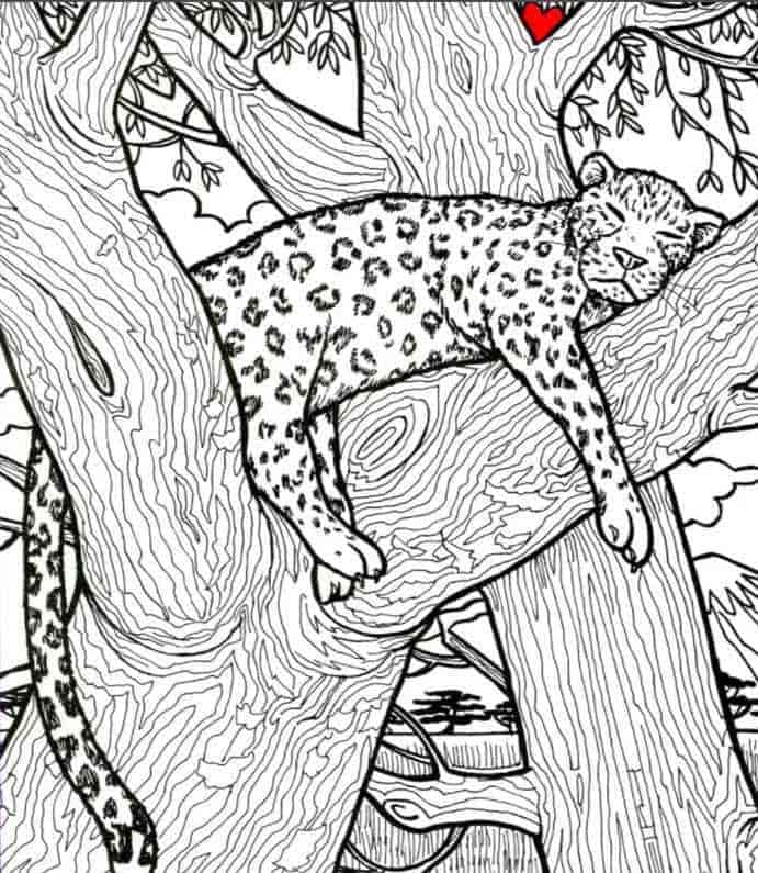 Οπτική ψευδαίσθηση ψάρι