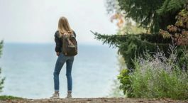 Οπτική ψευδαίσθηση γάτα