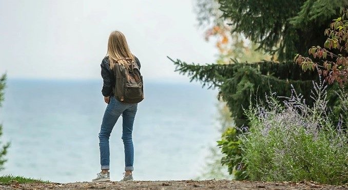 Οπτική ψευδαίσθηση γάτα