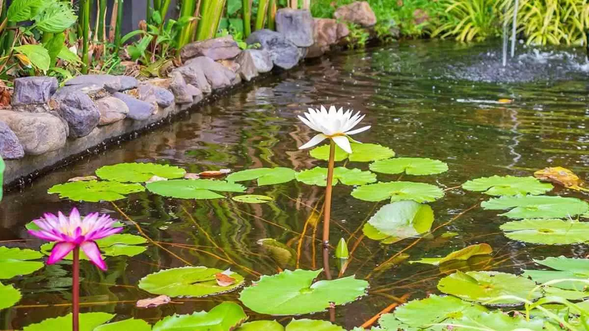 οπτική ψευδαίσθηση