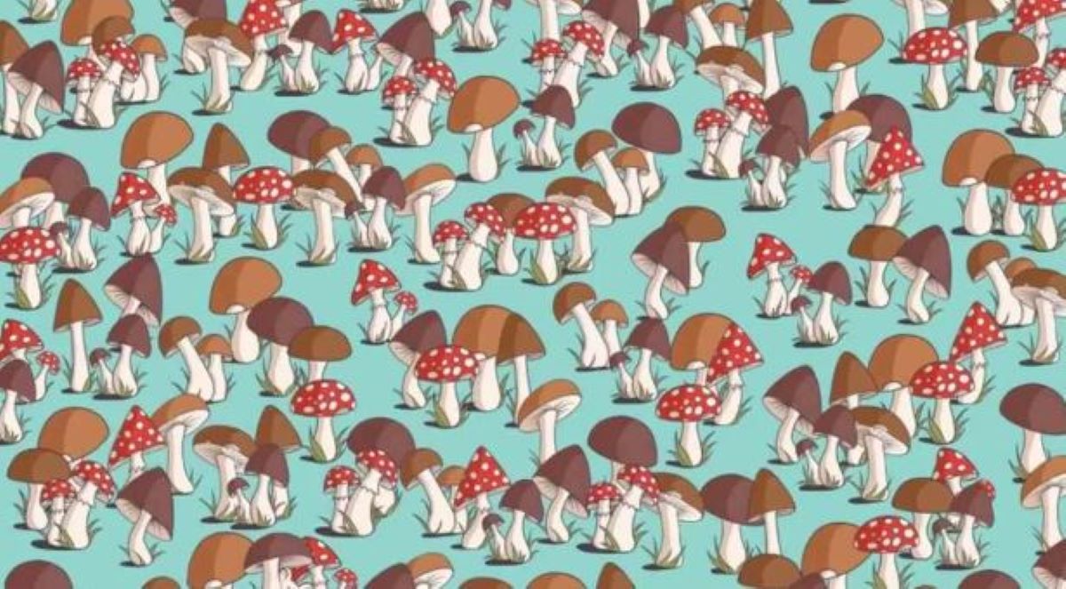 Οπτική ψευδαίσθηση: Μπορείς να βρεις το ποντίκι μέσα σε 15 δευτερόλεπτα;