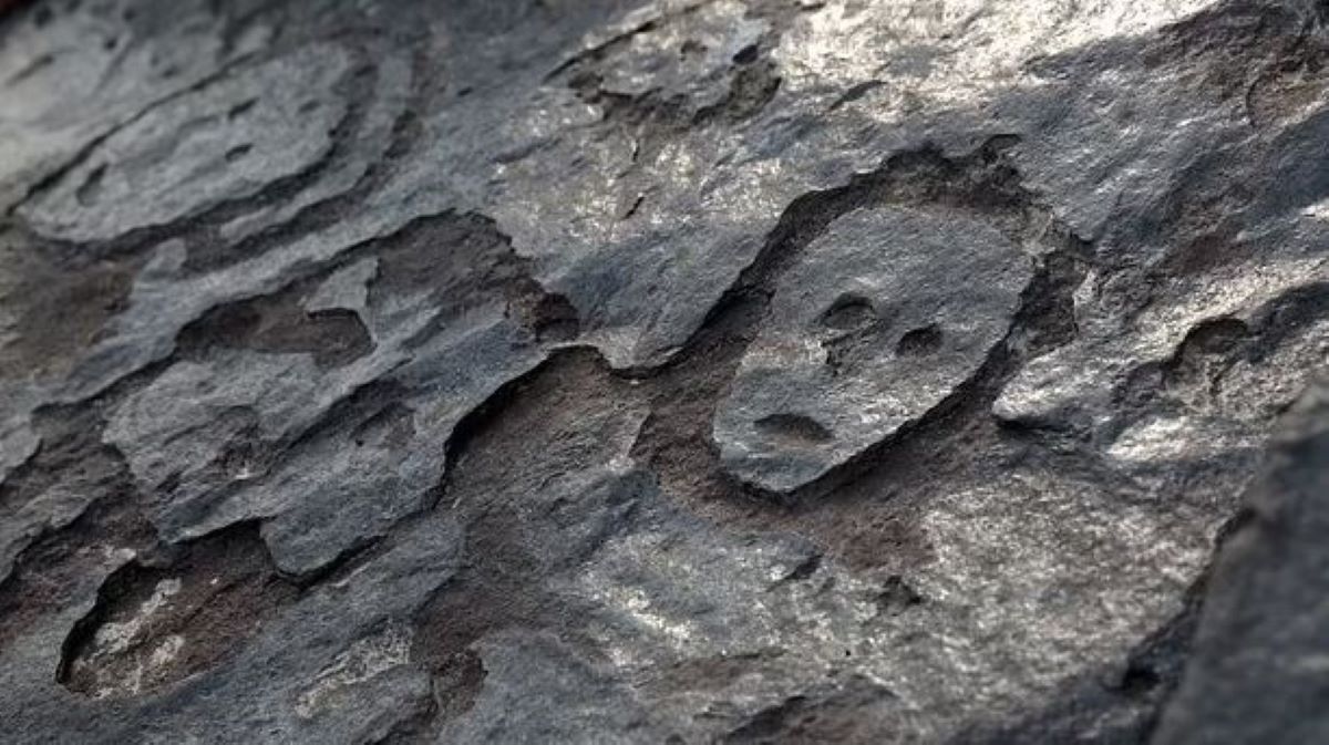 Αρχαία ανθρώπινα πρόσωπα στον Αμαζόνιο: Ακραία ξηρασία αποκάλυψε πετρογλυφικά 2.000 ετών