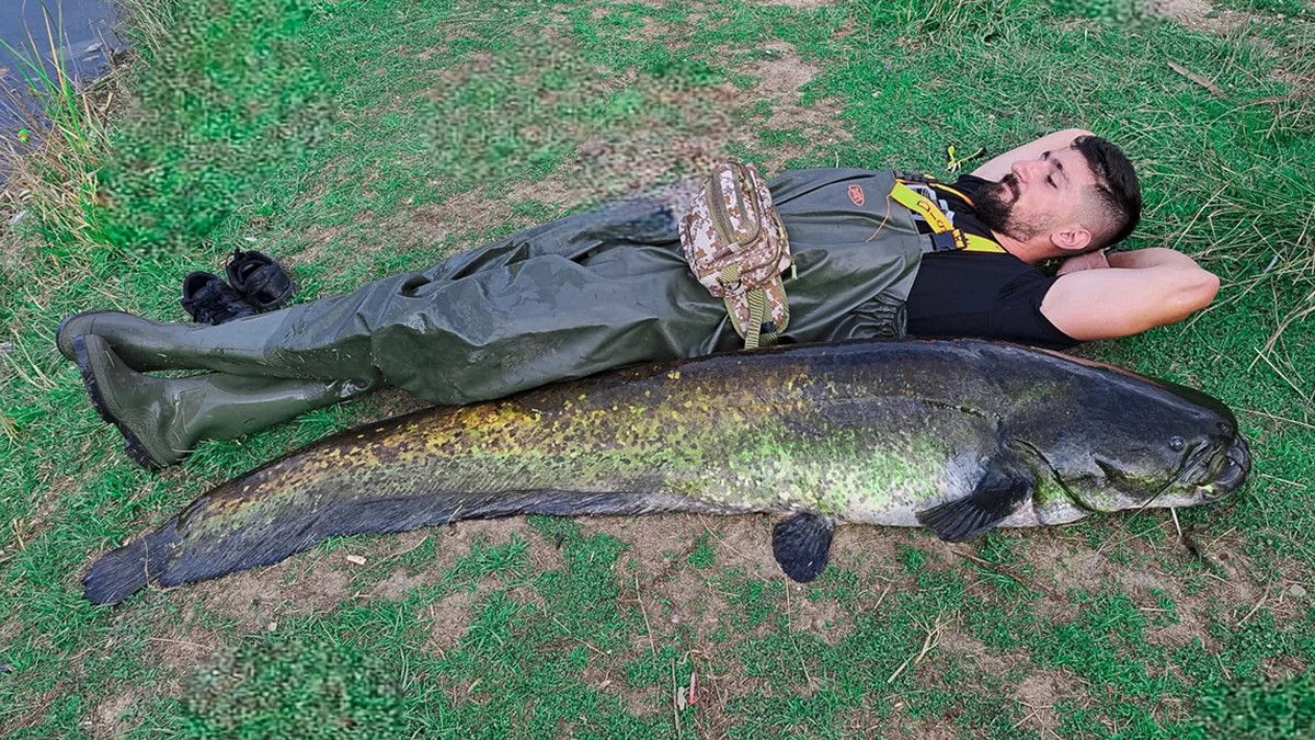 Αρκαδία: Έπιασε ψάρι 70 κιλών στην Μεγαλόπολη και το άφησε να ζήσει – «Μου πήρε 40 λεπτά» – ΦΩΤΟ