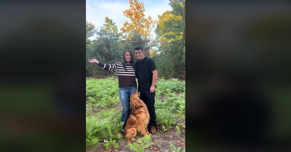 Ο έξυπνος τρόπος που ένας σκύλος εμπλέκεται στην πρόταση γάμου (Βίντεο)