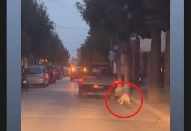 Ξυλόκαστρο: Συνελήφθη 86χρονος που έσερνε σκύλο δεμένο από το αγροτικό