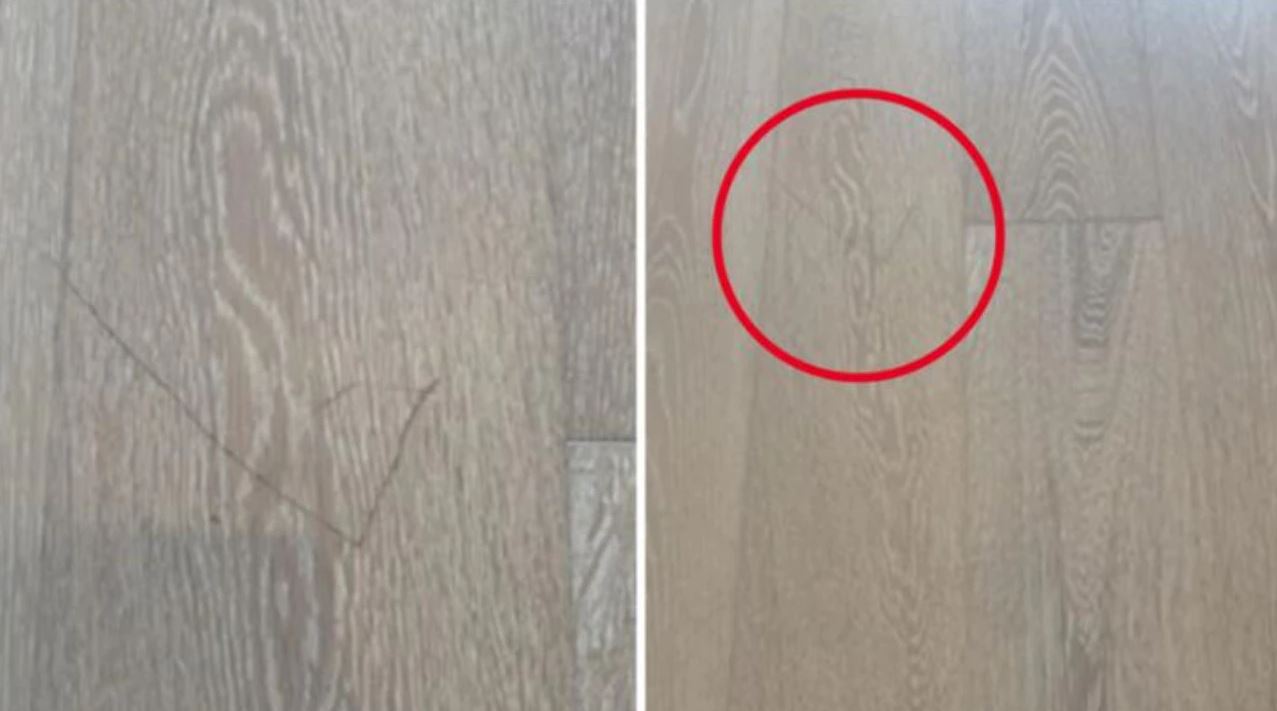 Η εξωφρενική απαίτηση σε ενοικιαστή διαμερίσματος – «Ζήτησε για την γρατζουνιά 628 δολάρια»