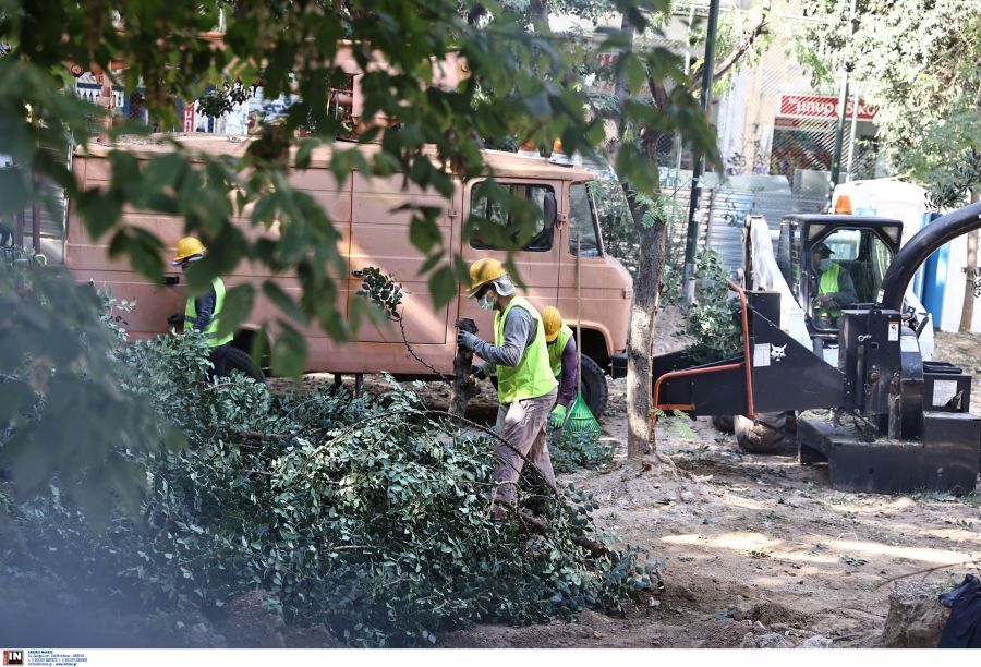 Υπεγράφη η σύμβαση για την προμήθεια 2.975 δέντρων στον Δήμο Αθηναίων