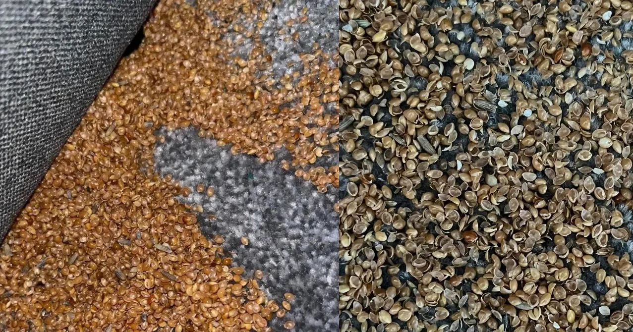 μητέρα παιδικό δωμάτιο