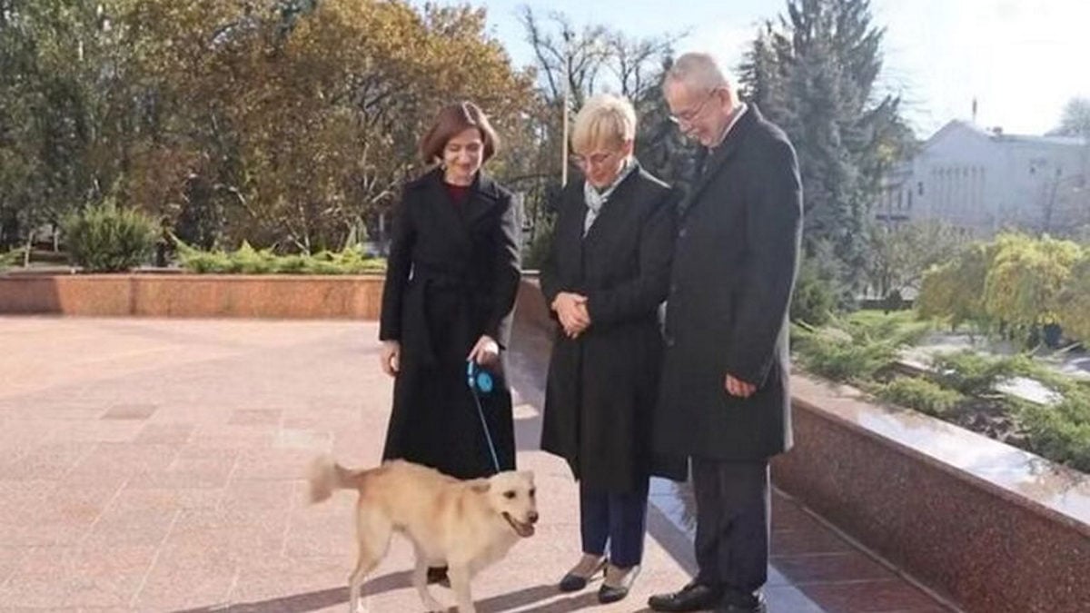 Ο σκύλος της Μολδαβής προέδρου δάγκωσε τον πρόεδρο της Αυστρίας