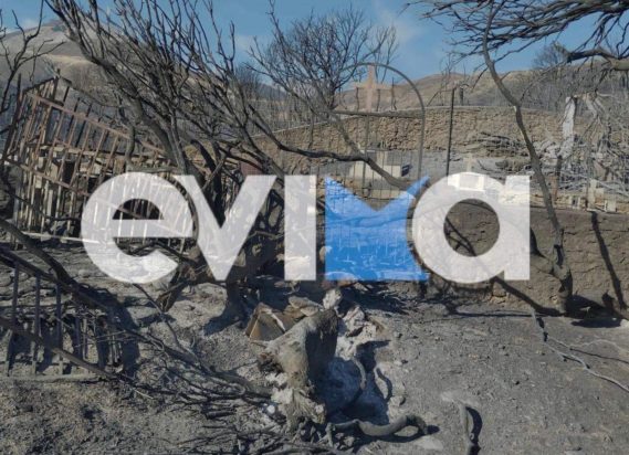 Φωτιά στην Αμυγδαλιά Εύβοια