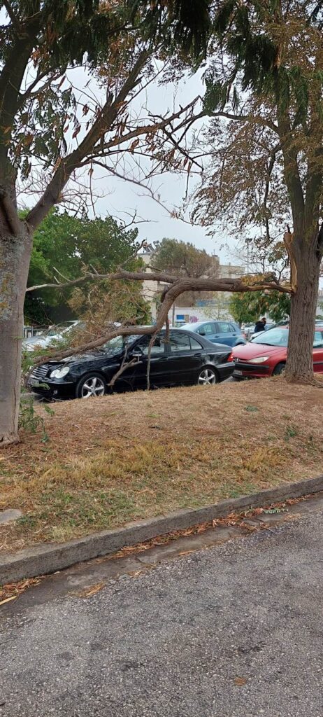 Δέντρα Αλεξανδρούπολη Κακοκαιρία evros news