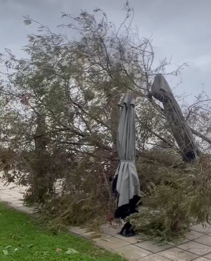 Δέντρα Αλεξανδρούπολη Κακοκαιρία evros news