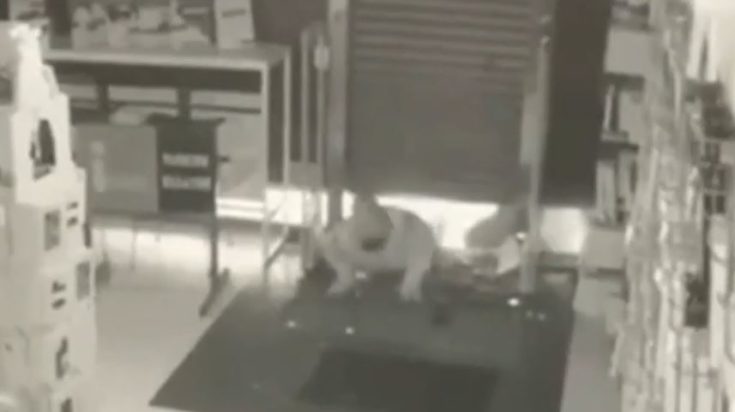 Διάρρηξη Κηφισίας