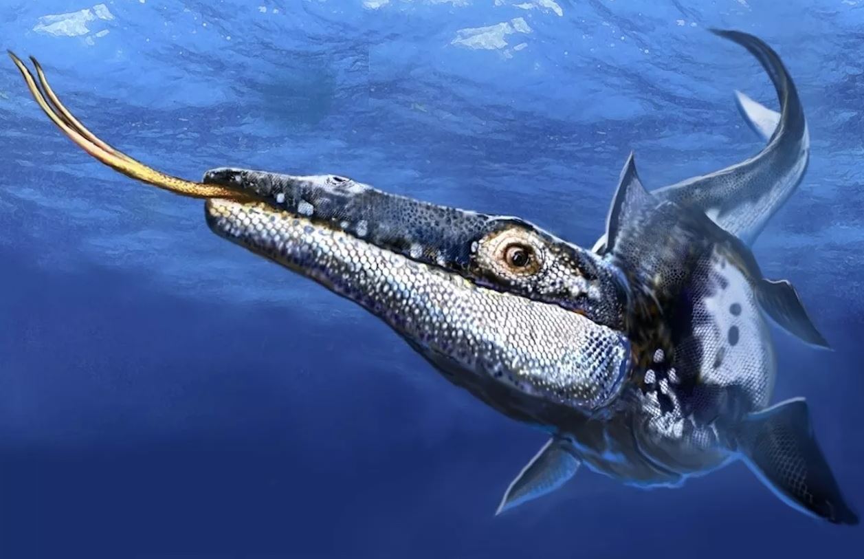 Ανακαλύφθηκε τρομακτικό αρπακτικό που ήταν ο άρχοντας των θαλασσών πριν από 90 εκατομμύρια χρόνια