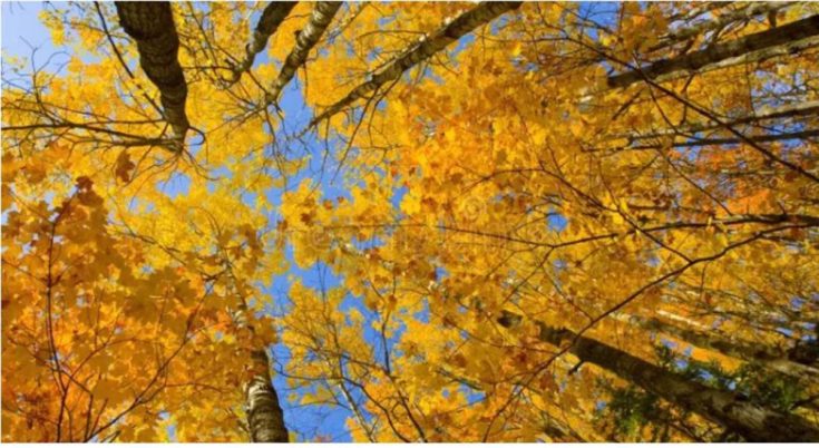 Καιρός: Ο θερμότερος Οκτώβριος