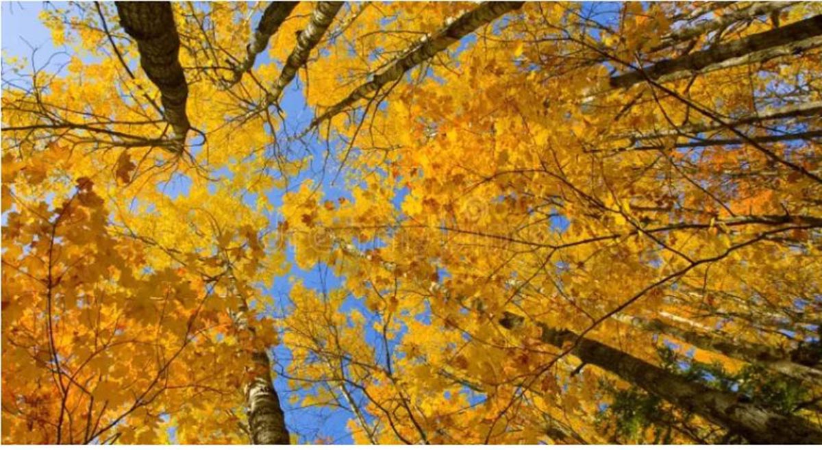 Καιρός: Ο θερμότερος Οκτώβριος