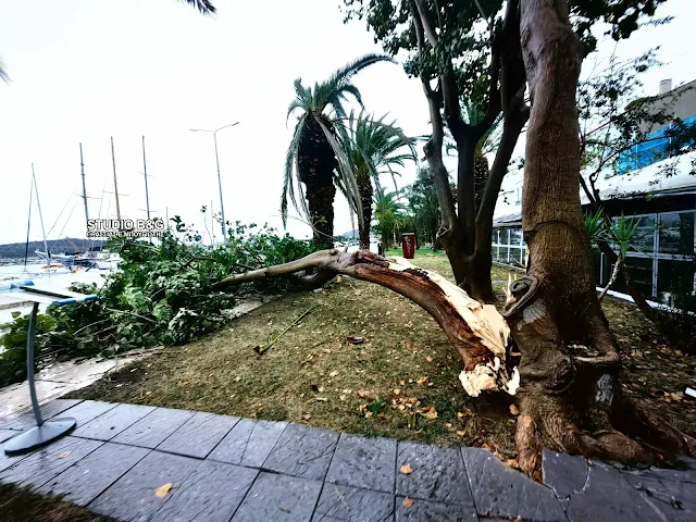 κακοκαιρία Αργολίδα