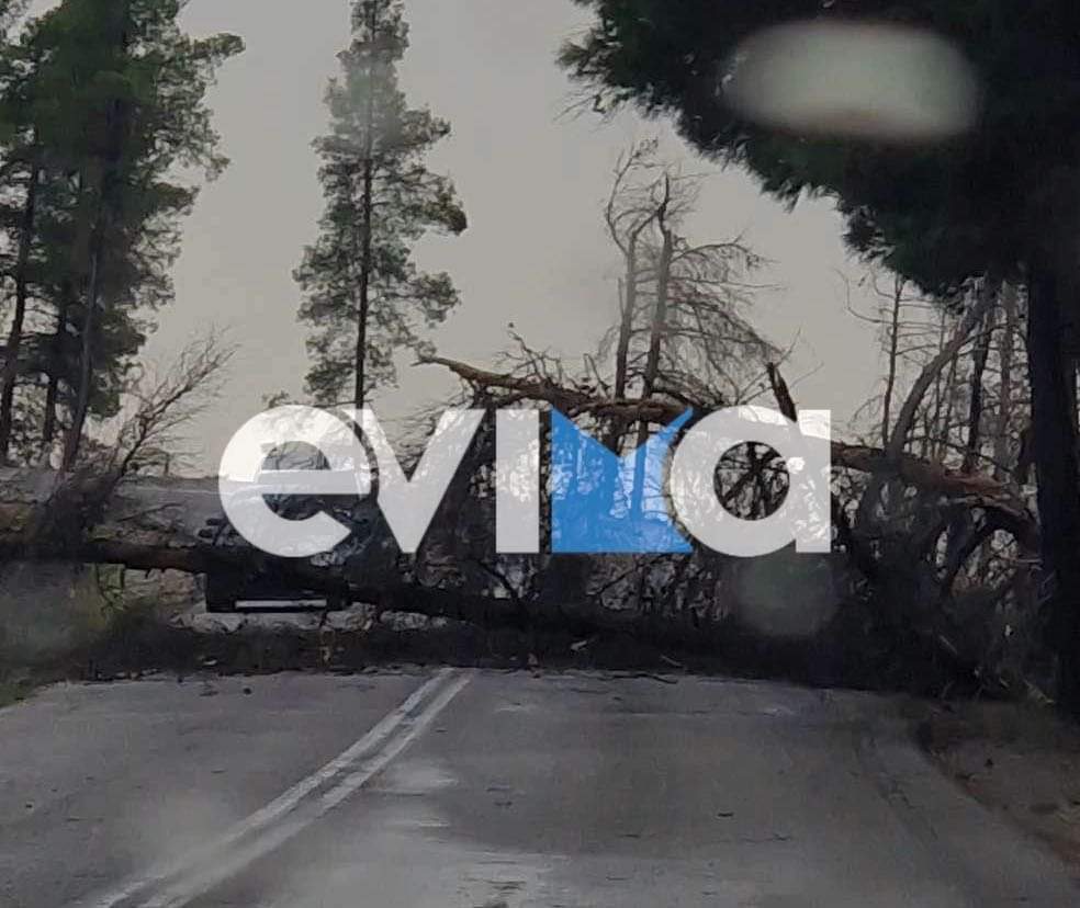 κακοκαιρία Εύβοια