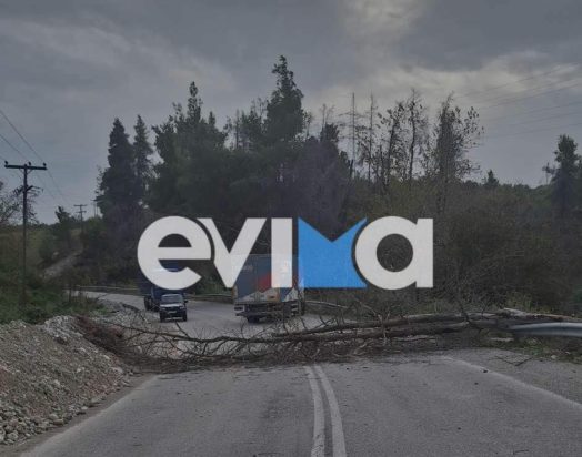 κακοκαιρία Εύβοια