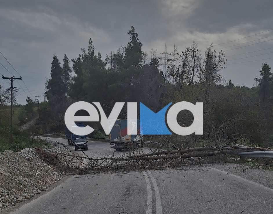 κακοκαιρία Εύβοια