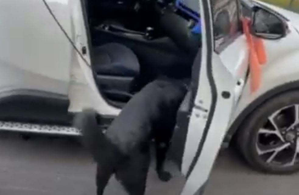 «MOBILE 6»: Πανευρωπαϊκή αστυνομική επιχείρηση ενάντια στην διακίνηση κλεμμένων οχημάτων – «Λαβράκια» στις έρευνες που έγιναν στην Ελλάδα