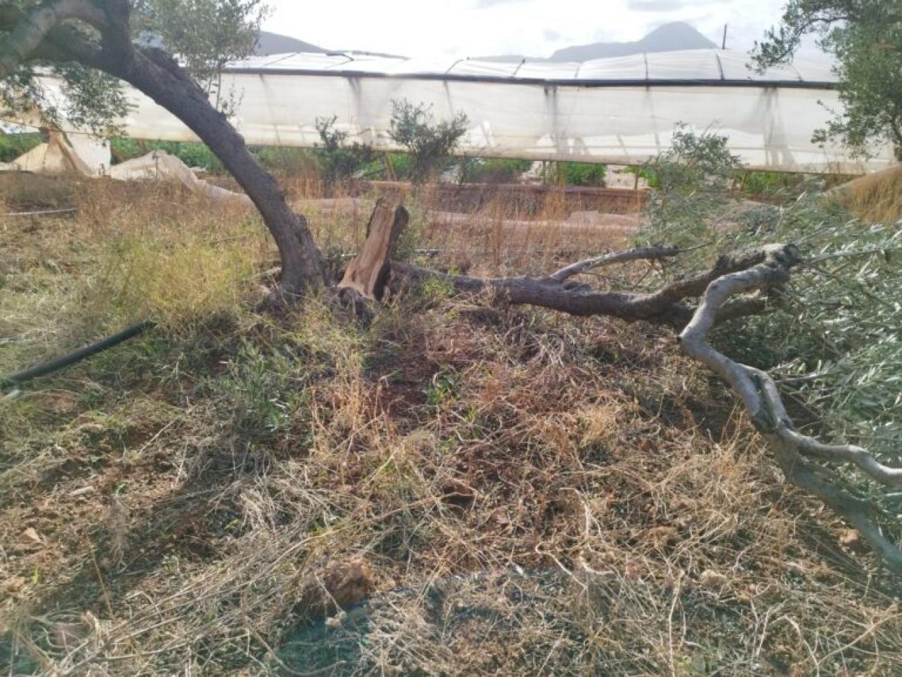 Κρήτη ισχυροί άνεμοι ζημιές