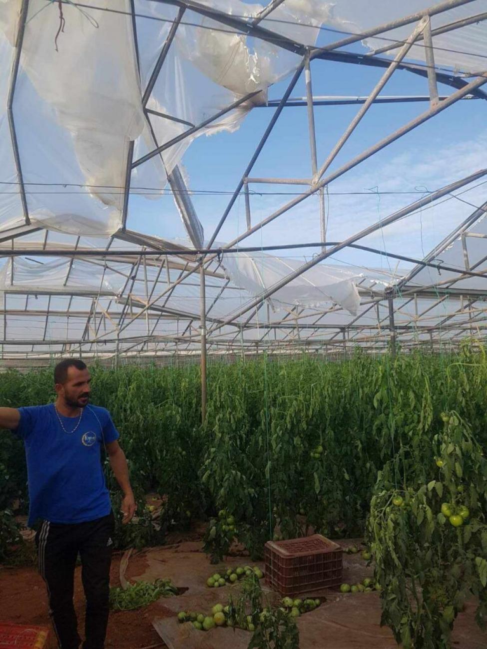 Κρήτη ισχυροί άνεμοι ζημιές