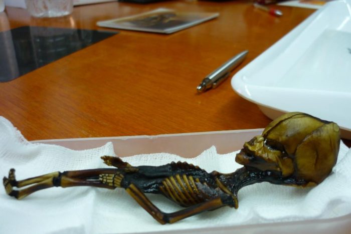 Το μυστήριο με τον σκελετό Atacama – Άνθρωπος ή εξωγήινος; – Ο κυνηγός UFO που έχει μελετήσει την μούμια απαντά