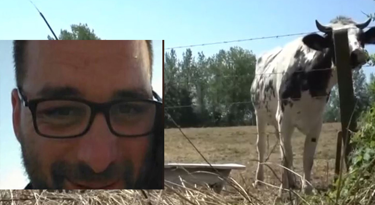 Μύκονος: Πώς ο 39χρονος έχασε την ζωή του όταν έπεσε πάνω σε κοπάδι με αγελάδες – Ξέσπασε ο θείος του