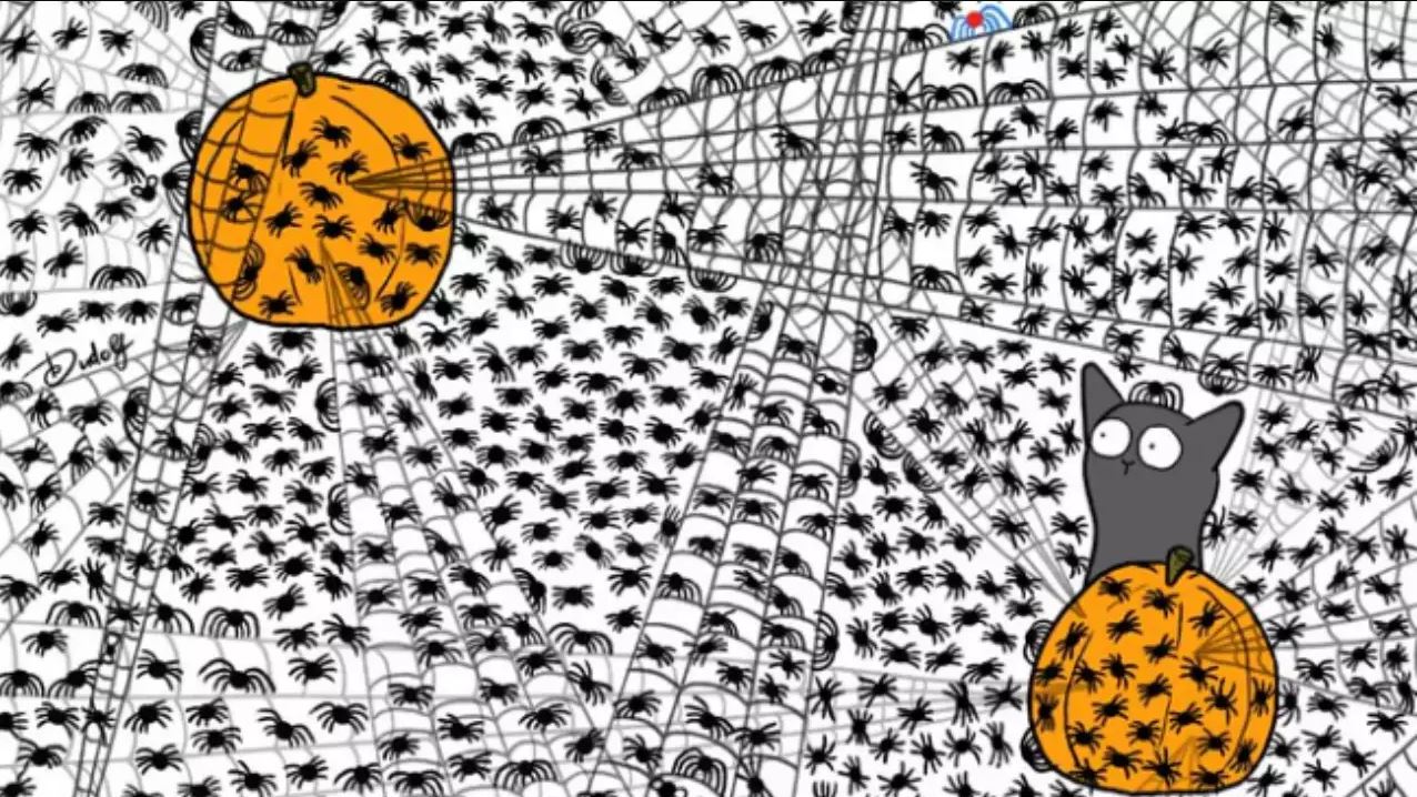 Οπτική ψευδαίσθηση: Είστε ιδιοφυΐα αν βρείτε τις 7 μύγες που κρύβονται ανάμεσα στις αράχνες σε 10 δευτερόλεπτα