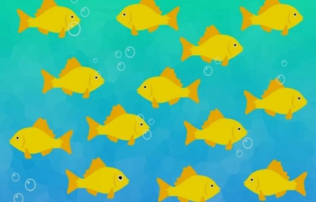 Οπτική ψευδαίσθηση