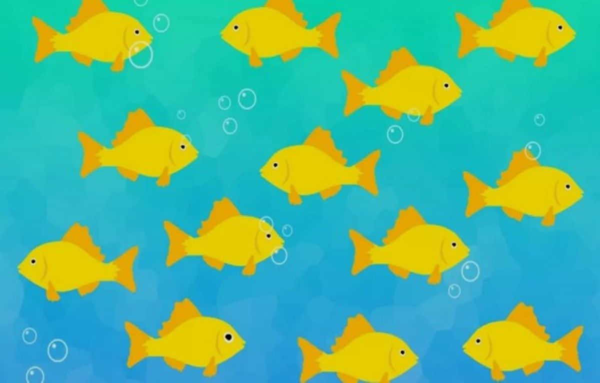 Οπτική ψευδαίσθηση