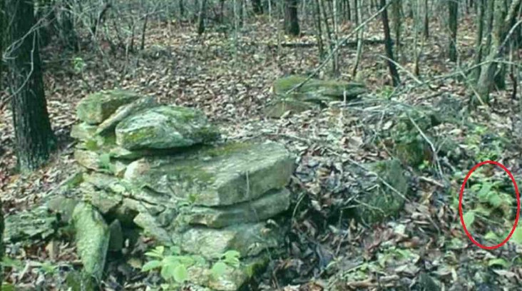 Οπτική ψευδαίσθηση